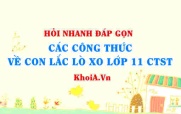 Các công thức về con lắc lò xo lớp 11 Chân trời sáng tạo?